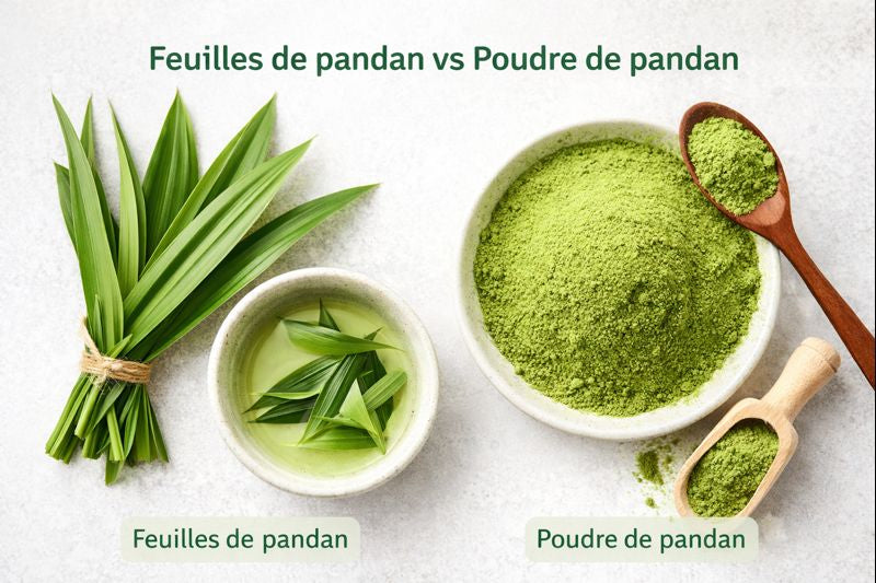 Verse pandanbladeren versus pandanpoeder: de belangrijkste verschillen