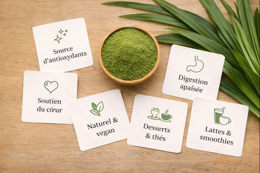 Bienfaits et usages du pandan : comprendre cette plante aromatique aux multiples vertus