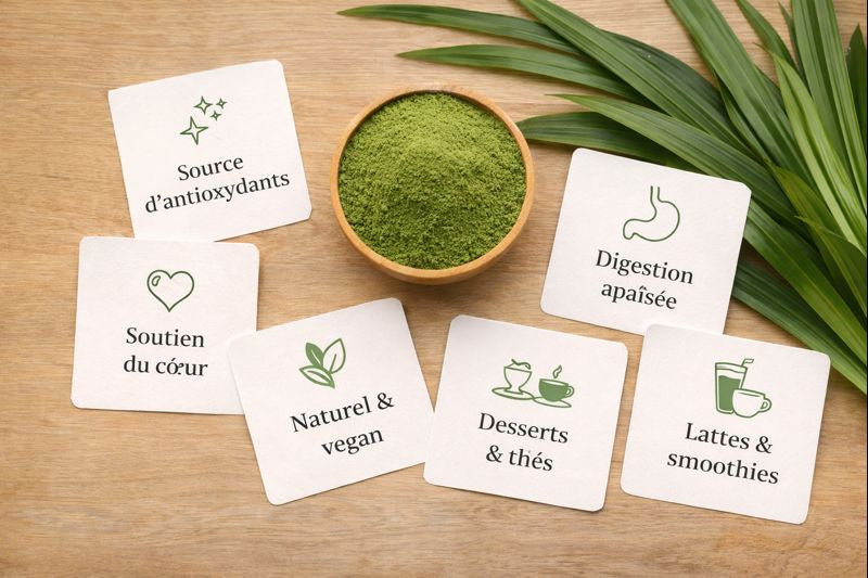 Bienfaits et usages du pandan : comprendre cette plante aromatique aux multiples vertus
