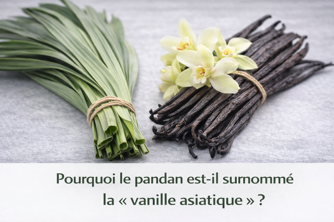 Waarom wordt pandan ook wel de „Aziatische vanille“ genoemd?